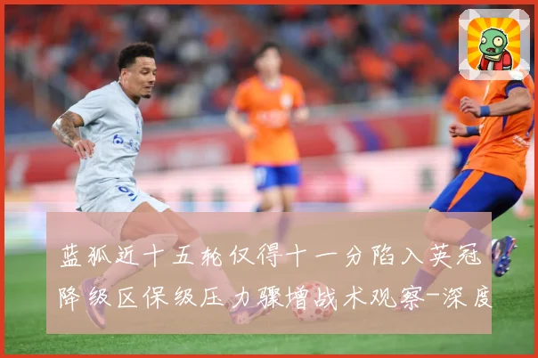 蓝狐近十五轮仅得十一分陷入英冠降级区保级压力骤增战术观察-深度解析