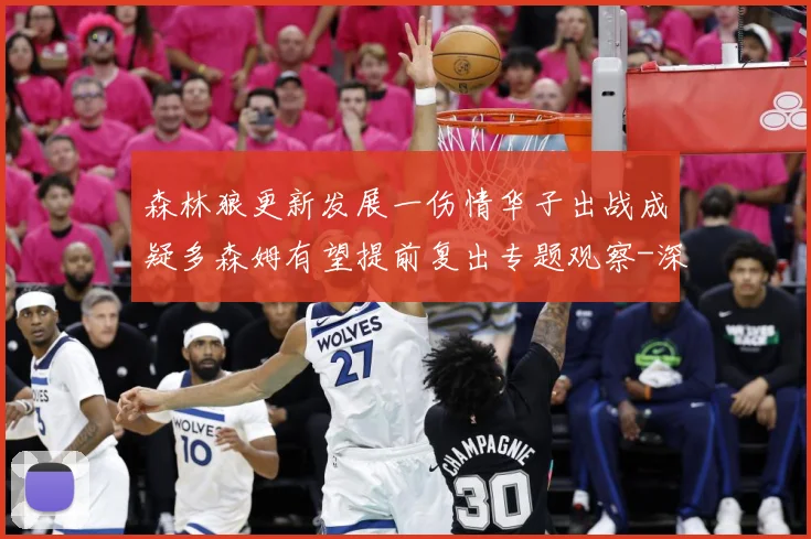 森林狼更新发展一伤情华子出战成疑多森姆有望提前复出专题观察-深度解析