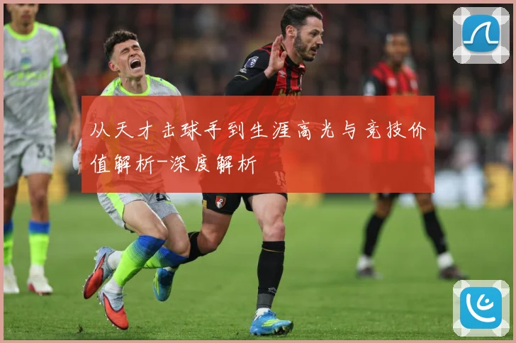 从天才击球手到生涯高光与竞技价值解析-深度解析