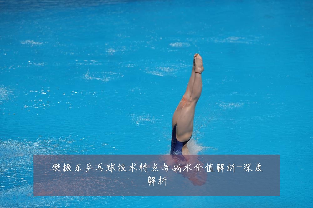 樊振东乒乓球技术特点与战术价值解析-深度解析